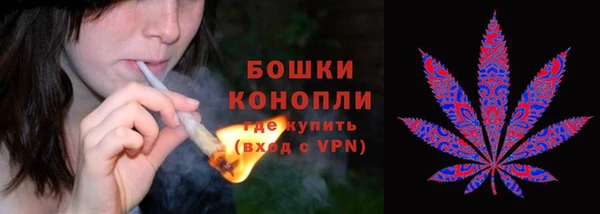 стафф Абаза