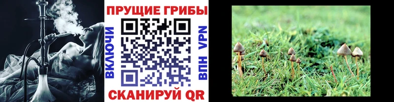 hydra как зайти  Нефтегорск  Псилоцибиновые грибы мухоморы 
